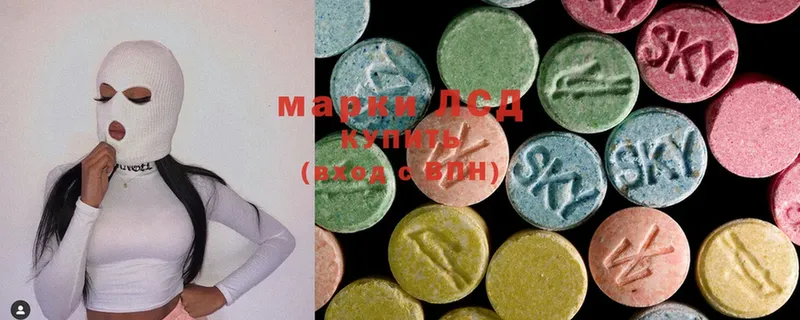 дарнет шоп  Зеленоградск  Лсд 25 экстази ecstasy 